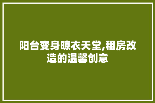 阳台变身晾衣天堂,租房改造的温馨创意