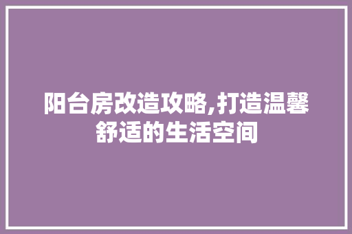 阳台房改造攻略,打造温馨舒适的生活空间 厨房维修