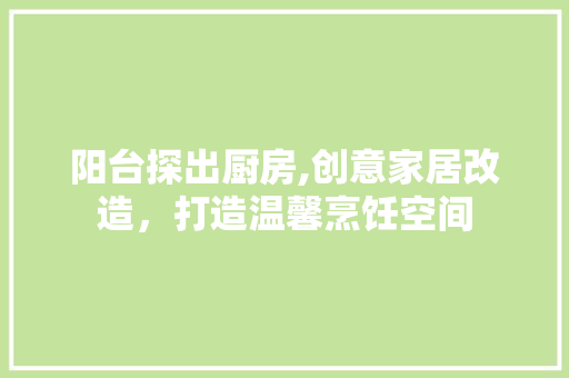 阳台探出厨房,创意家居改造，打造温馨烹饪空间 汽车维修