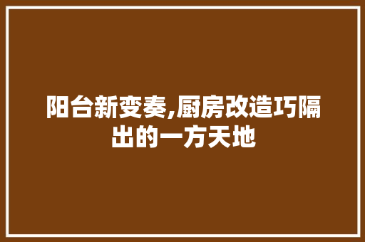 阳台新变奏,厨房改造巧隔出的一方天地 汽车维修
