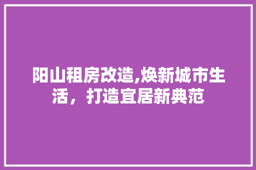 阳山租房改造,焕新城市生活，打造宜居新典范