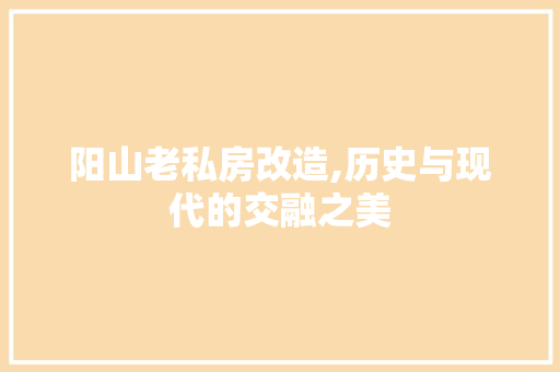 阳山老私房改造,历史与现代的交融之美 墙体维修
