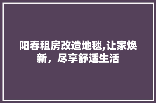 阳春租房改造地毯,让家焕新，尽享舒适生活 墙体维修