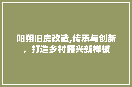 阳朔旧房改造,传承与创新，打造乡村振兴新样板