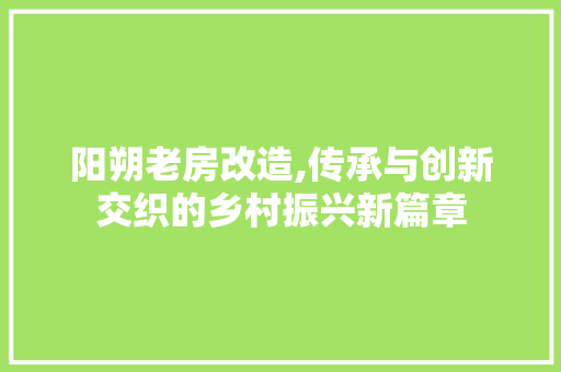 阳朔老房改造,传承与创新交织的乡村振兴新篇章