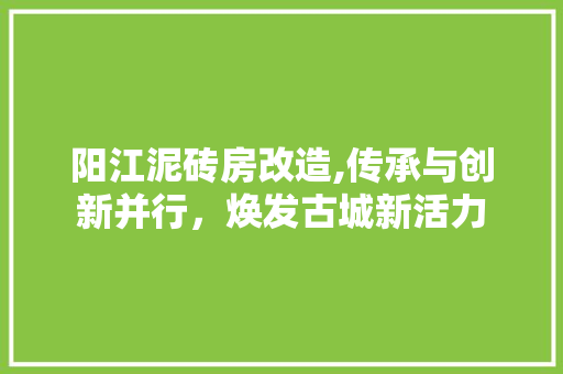 阳江泥砖房改造,传承与创新并行，焕发古城新活力 汽车维修