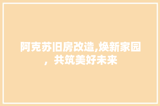 阿克苏旧房改造,焕新家园，共筑美好未来