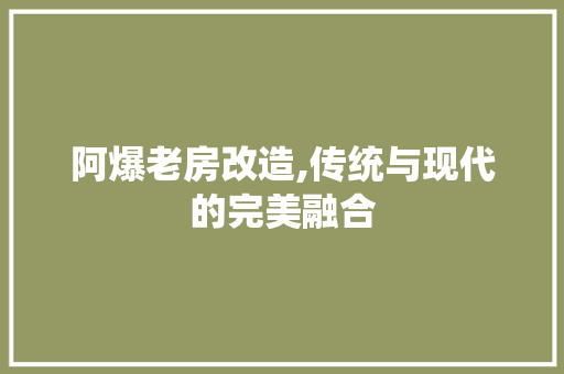 阿爆老房改造,传统与现代的完美融合 家电维修
