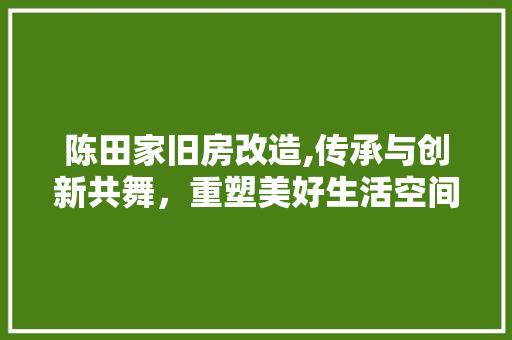 陈田家旧房改造,传承与创新共舞，重塑美好生活空间