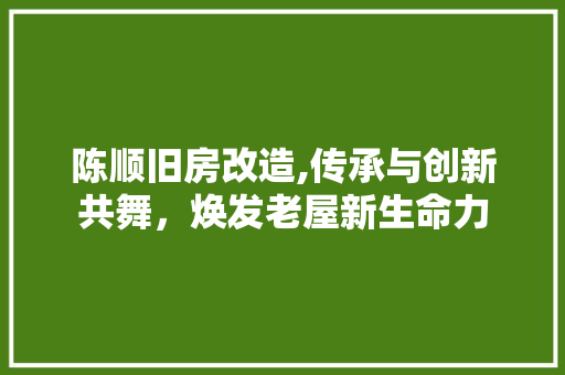 陈顺旧房改造,传承与创新共舞，焕发老屋新生命力