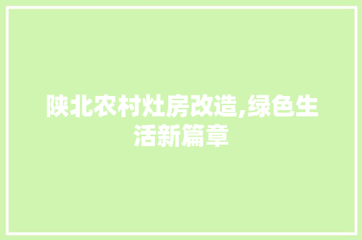 陕北农村灶房改造,绿色生活新篇章