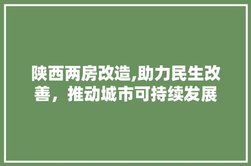 陕西两房改造,助力民生改善，推动城市可持续发展