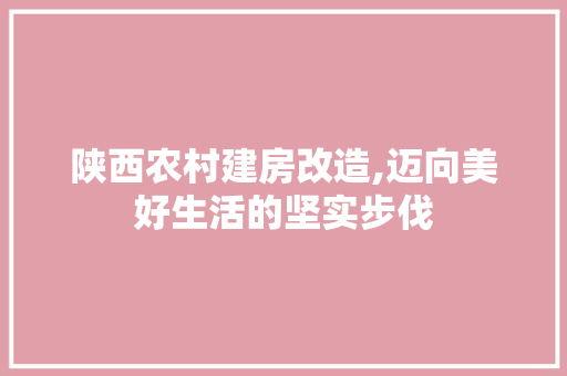 陕西农村建房改造,迈向美好生活的坚实步伐