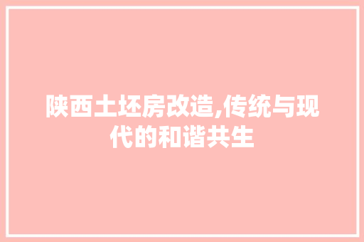 陕西土坯房改造,传统与现代的和谐共生