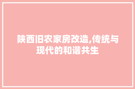 陕西旧农家房改造,传统与现代的和谐共生