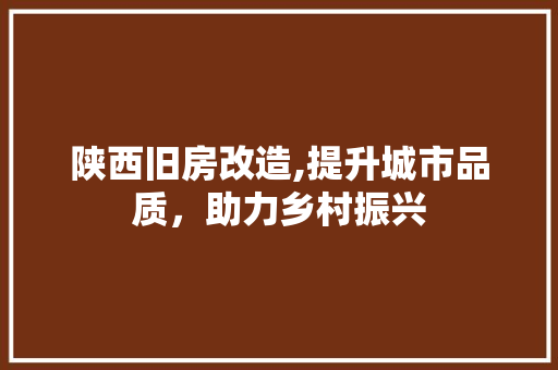 陕西旧房改造,提升城市品质，助力乡村振兴