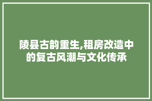 陵县古韵重生,租房改造中的复古风潮与文化传承 汽车维修