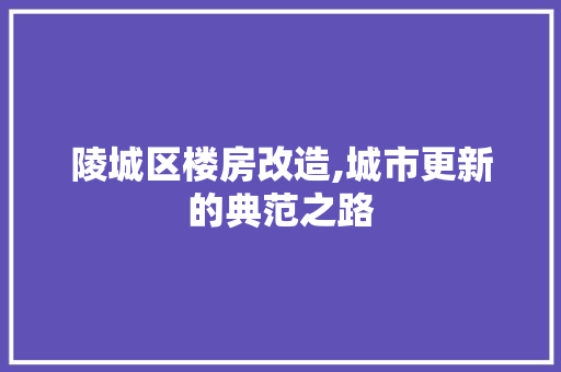 陵城区楼房改造,城市更新的典范之路
