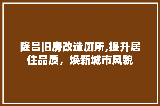 隆昌旧房改造厕所,提升居住品质，焕新城市风貌