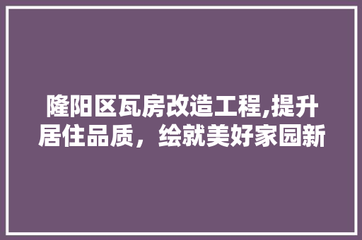 隆阳区瓦房改造工程,提升居住品质，绘就美好家园新篇章