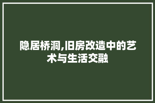 隐居桥洞,旧房改造中的艺术与生活交融