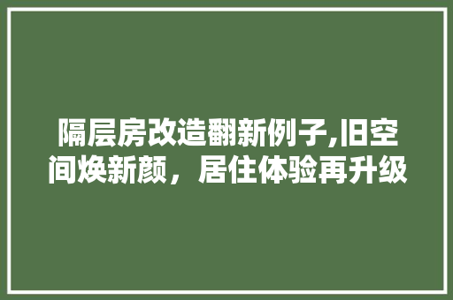 隔层房改造翻新例子,旧空间焕新颜，居住体验再升级