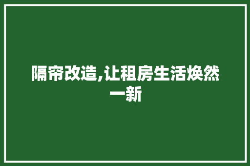 隔帘改造,让租房生活焕然一新