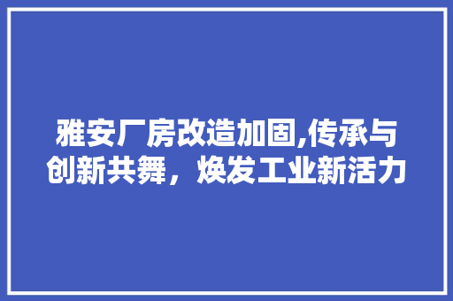 雅安厂房改造加固,传承与创新共舞，焕发工业新活力 家电维修