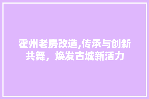 霍州老房改造,传承与创新共舞，焕发古城新活力