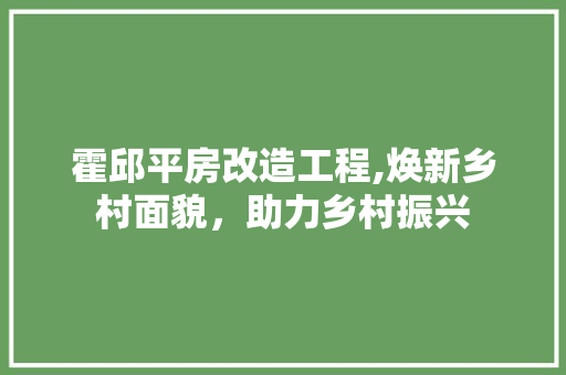 霍邱平房改造工程,焕新乡村面貌，助力乡村振兴