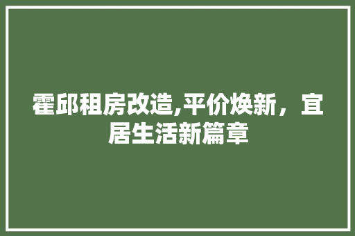 霍邱租房改造,平价焕新，宜居生活新篇章