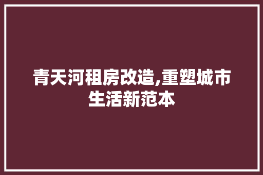 青天河租房改造,重塑城市生活新范本 厨房维修