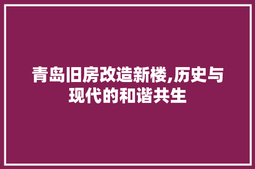 青岛旧房改造新楼,历史与现代的和谐共生