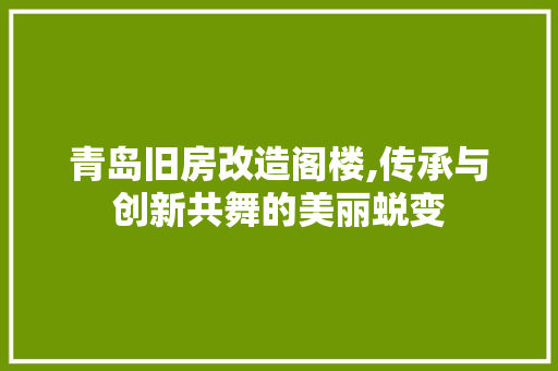 青岛旧房改造阁楼,传承与创新共舞的美丽蜕变