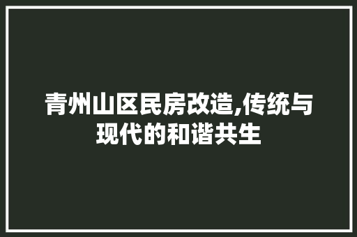 青州山区民房改造,传统与现代的和谐共生 厨房维修