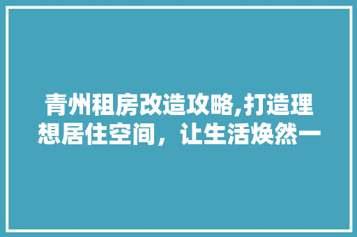 青州租房改造攻略,打造理想居住空间，让生活焕然一新 墙体维修