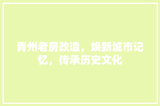 青州老房改造，焕新城市记忆，传承历史文化 汽车维修