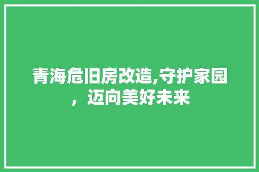 青海危旧房改造,守护家园，迈向美好未来 家电维修