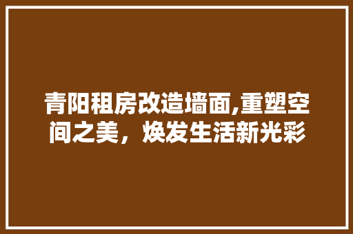 青阳租房改造墙面,重塑空间之美，焕发生活新光彩 家电维修