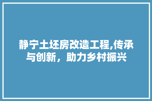 静宁土坯房改造工程,传承与创新，助力乡村振兴 墙体维修