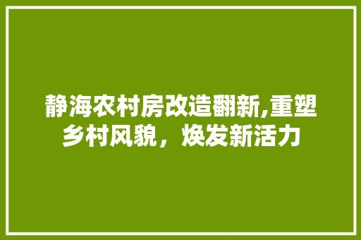 静海农村房改造翻新,重塑乡村风貌，焕发新活力 墙体维修