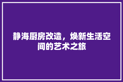 静海厨房改造，焕新生活空间的艺术之旅 汽车维修