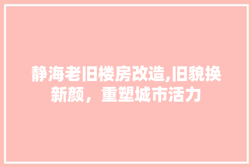 静海老旧楼房改造,旧貌换新颜，重塑城市活力 墙体维修
