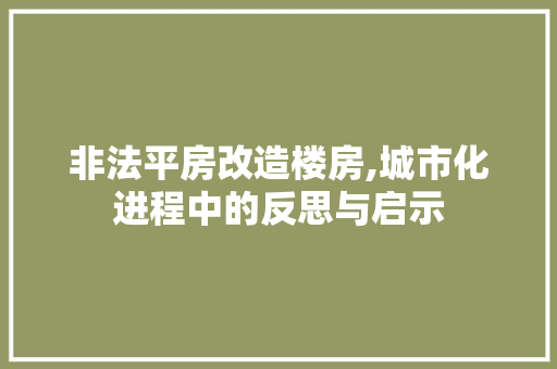 非法平房改造楼房,城市化进程中的反思与启示 墙体维修