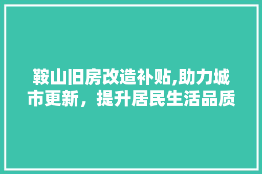 鞍山旧房改造补贴,助力城市更新，提升居民生活品质 厨房维修
