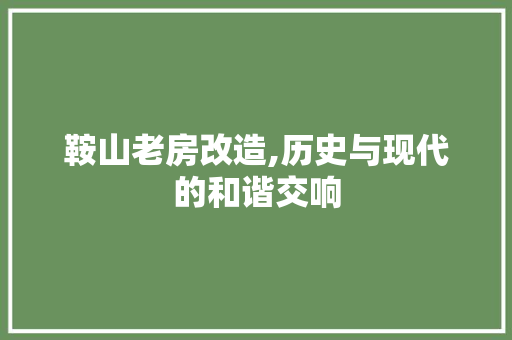 鞍山老房改造,历史与现代的和谐交响 厨房维修