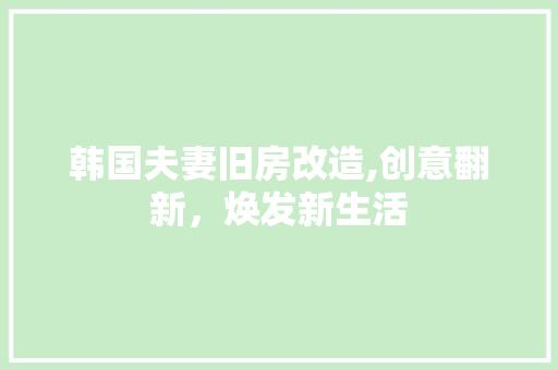 韩国夫妻旧房改造,创意翻新，焕发新生活 汽车维修