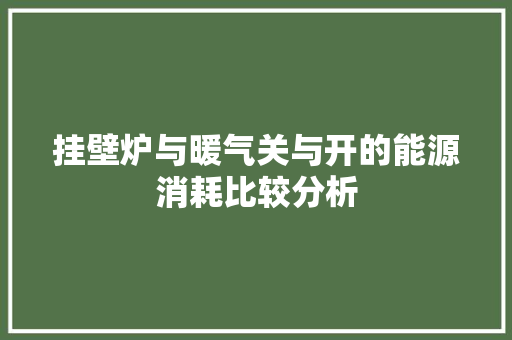 挂壁炉与暖气关与开的能源消耗比较分析 厨房维修