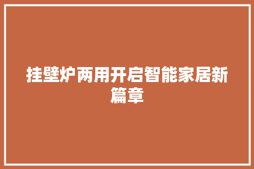 挂壁炉两用开启智能家居新篇章 厨房维修