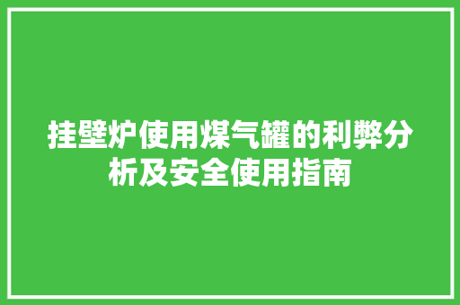 挂壁炉使用煤气罐的利弊分析及安全使用指南 厨房维修